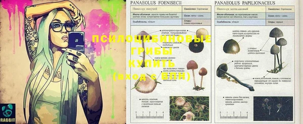 таблы Киренск